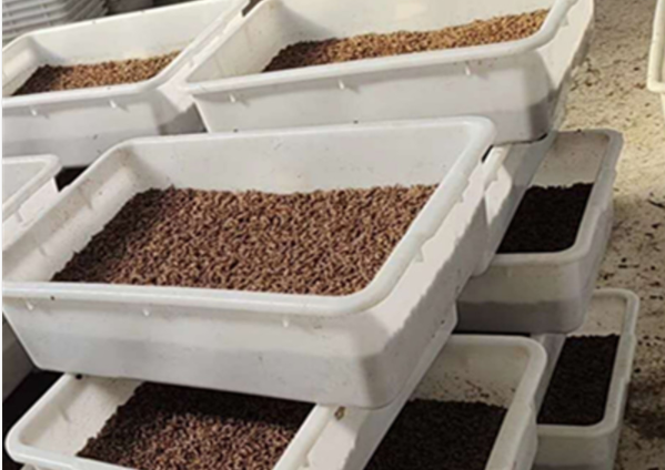 廣東塑料周轉(zhuǎn)箱未來發(fā)展趨勢如何？平時如何保養(yǎng)維護(hù)？