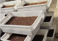 廣東塑料周轉(zhuǎn)箱未來發(fā)展趨勢如何？平時(shí)如何保養(yǎng)維護(hù)？