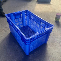 廣西百色芒果基地迎豐收，預(yù)計(jì)產(chǎn)量創(chuàng)歷史新高超90萬噸！