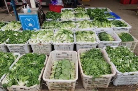 2022年北京冬奧會里的塑料新材料！