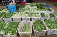 2022年北京冬奧會(huì)里的塑料新材料！